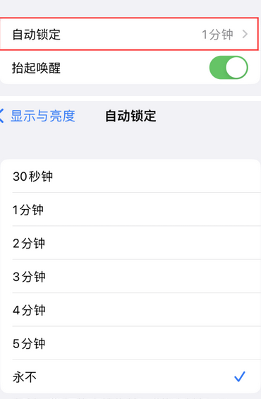 临翔苹果换屏维修分享无法调整iPhone自动锁屏的时间怎么办