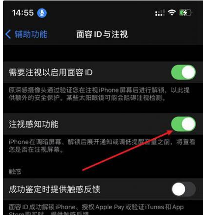 临翔苹果14维修网点分享iPhone14注视感知功能有什么用 